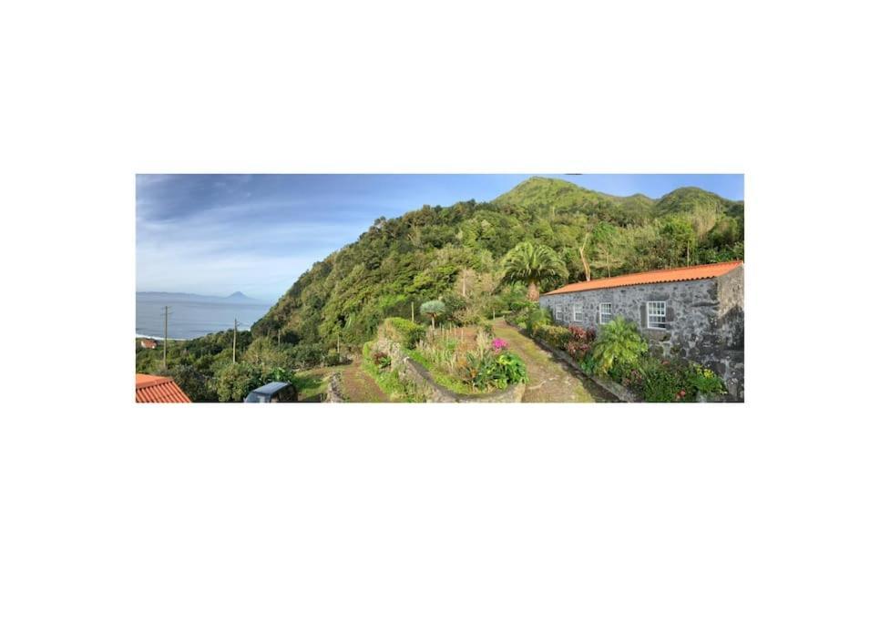 Vistalinda Farmhouse Faja dos Vimes Εξωτερικό φωτογραφία